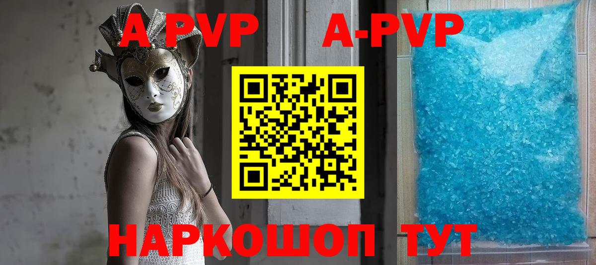 Alfa_PVP СК Белово
