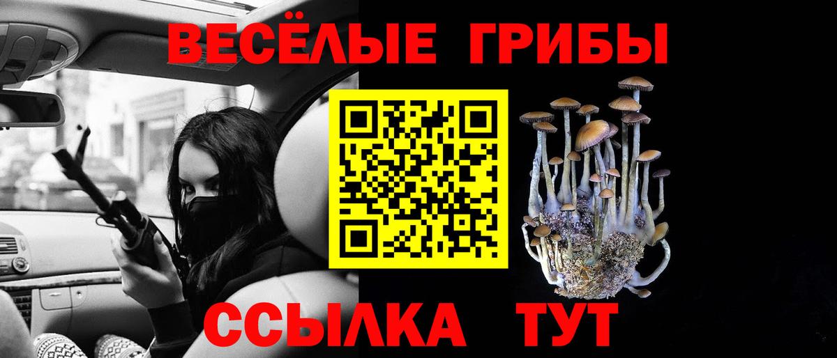 Псилоцибиновые грибы GOLDEN TEACHER  Псилоцибиновые грибы Magic Shrooms  Вход с VPN  Белово 