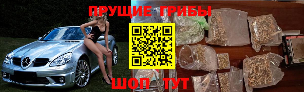 Псилоцибиновые грибы Cubensis Белово